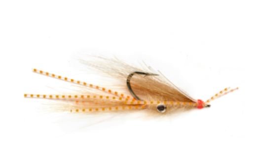 Squimp - Orange - Flies - Fly Fish Food