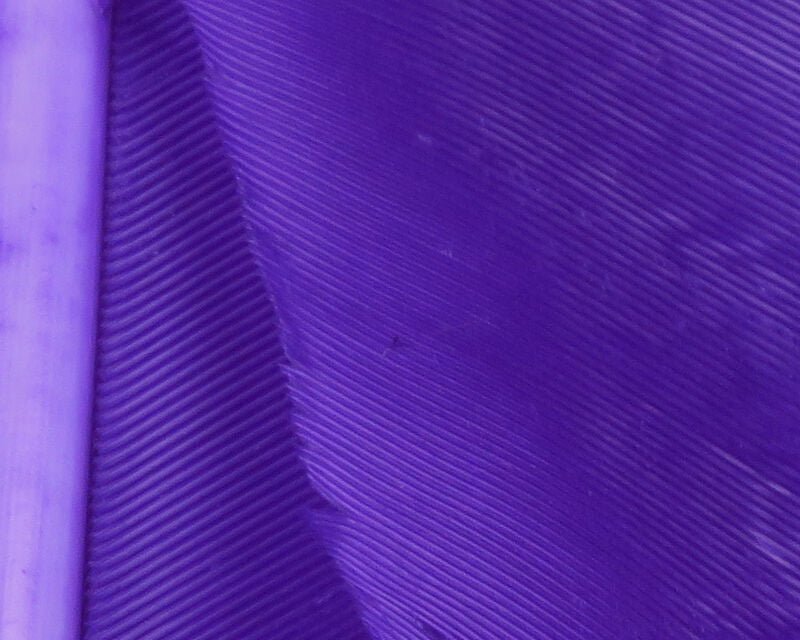 Turkey Biot Quills - Feathers & Marabou - Fly Fish Food