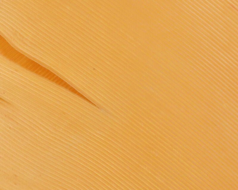Turkey Biot Quills - Feathers & Marabou - Fly Fish Food