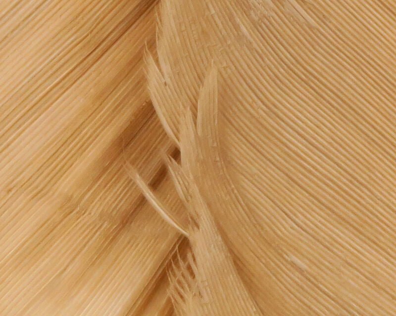 Turkey Biot Quills - Feathers & Marabou - Fly Fish Food
