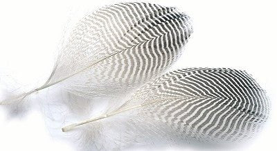 Teal Flank Feathers - Feathers & Marabou - Fly Fish Food