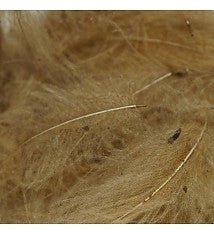 TroutHunter Premium CDC - Feathers & Marabou - Fly Fish Food