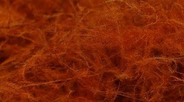 TroutHunter CDC Dubbing - Dubbing - Fly Fish Food