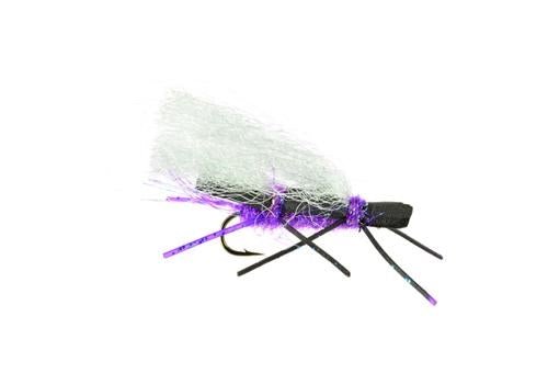 Chubby Chernobyl Purple - Flies - Fly Fish Food