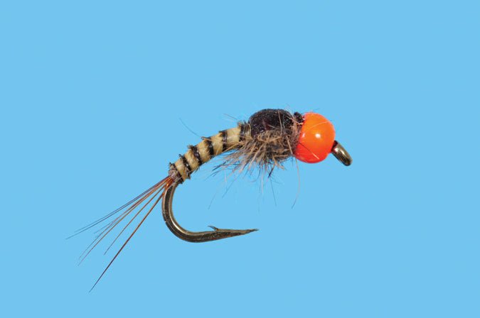 Tungsten Sunkist - Flies - Fly Fish Food
