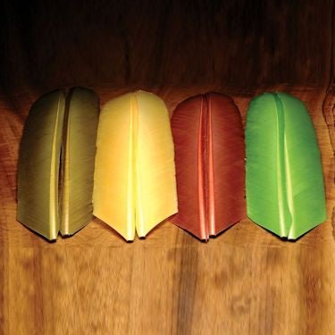 Turkey Biot Quills - Feathers & Marabou - Fly Fish Food