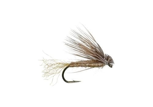 Mathews&