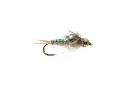Tungstone Flashback - Golden - Flies - Fly Fish Food
