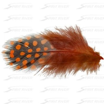 UV2 Large Eyed Guinea - Feathers &amp; Marabou - Fly Fish Food