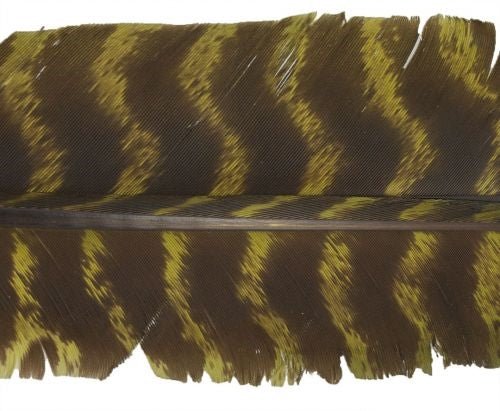 Nature's Spirit Wild Turkey Barred Biot Quills - Feathers & Marabou - Fly Fish Food
