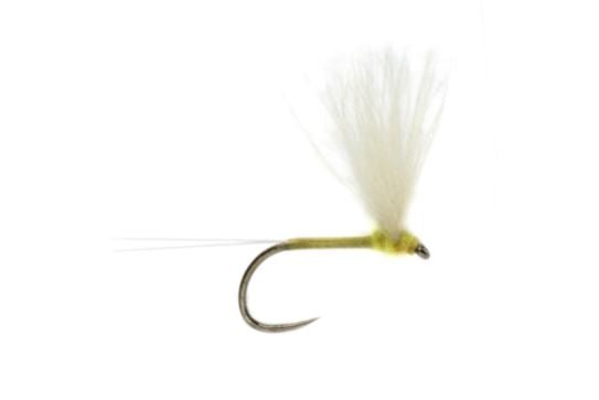 Weiss&