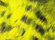 Magnum Black Barred Rabbit Strips - Hair & Fur - Fly Fish Food