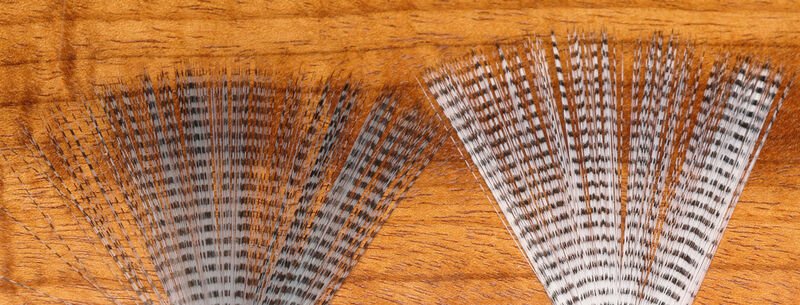 Barred Mayfly Tails - Misc. Synthetics - Fly Fish Food