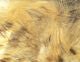 Brown Barred Rabbit Strips - Hair & Fur - Fly Fish Food