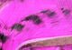 Black Barred Rabbit Strips - Hair & Fur - Fly Fish Food