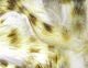 Olive Barred Rabbit Strips - Hair &amp; Fur - Fly Fish Food