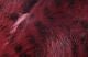 Black Barred Rabbit Strips - Hair & Fur - Fly Fish Food