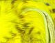 Brown Barred Rabbit Strips - Hair &amp; Fur - Fly Fish Food