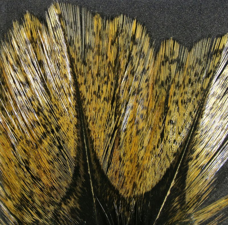 Coq De Leon - Hareline - Feathers & Marabou - Fly Fish Food