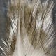 Coq De Leon - Hareline - Feathers &amp; Marabou - Fly Fish Food