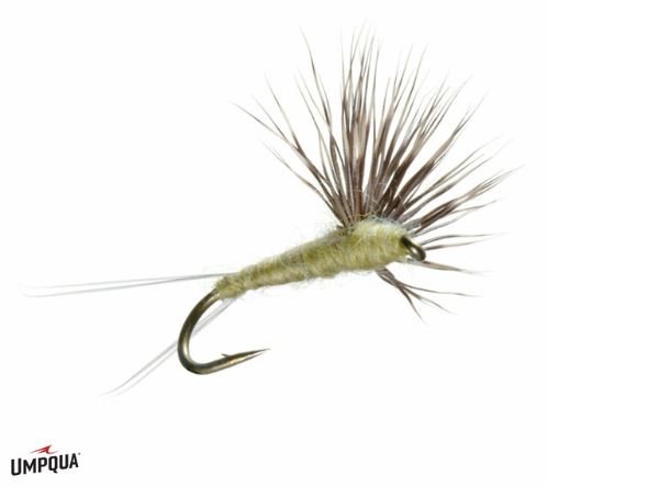 Comparadun - PMD - Flies - Fly Fish Food