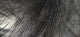 Crosscut Rabbit Strips - Hair & Fur - Fly Fish Food