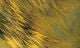 Crosscut Rabbit Strips - Hair & Fur - Fly Fish Food