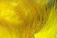 Crosscut Rabbit Strips - Hair & Fur - Fly Fish Food