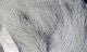 Crosscut Rabbit Strips - Hair &amp; Fur - Fly Fish Food