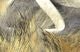 Crosscut Rabbit Strips - Hair & Fur - Fly Fish Food