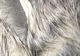 Crosscut Rabbit Strips - Hair & Fur - Fly Fish Food