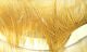 Crosscut Rabbit Strips - Hair & Fur - Fly Fish Food