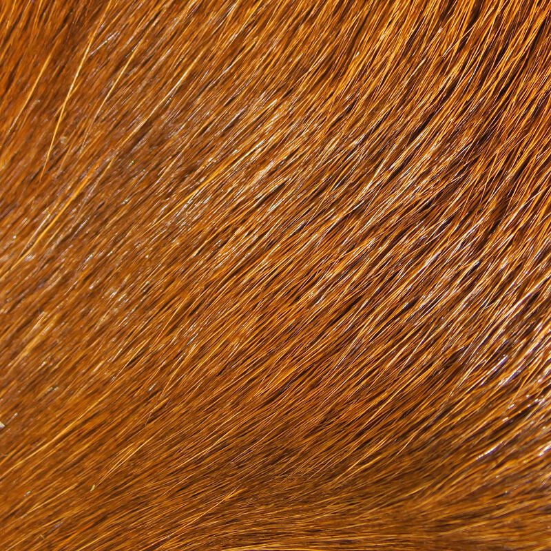 Deer Belly Hair - Hair & Fur - Fly Fish Food