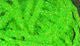 Diamond Braid - Dyed Pearl - Synthetic Fibers &amp; Flash - Fly Fish Food