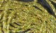 Diamond Braid - Holographic - Synthetic Fibers &amp; Flash - Fly Fish Food