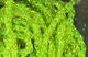 Diamond Braid - Dyed Pearl - Synthetic Fibers &amp; Flash - Fly Fish Food