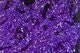 Diamond Braid - Dyed Pearl - Synthetic Fibers & Flash - Fly Fish Food