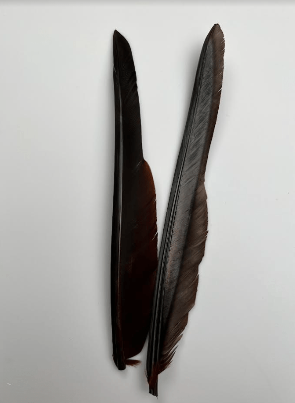 Canada Goose Biot Quills - Feathers &amp; Marabou - Fly Fish Food