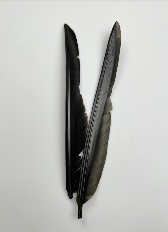 Canada Goose Biot Quills - Feathers &amp; Marabou - Fly Fish Food