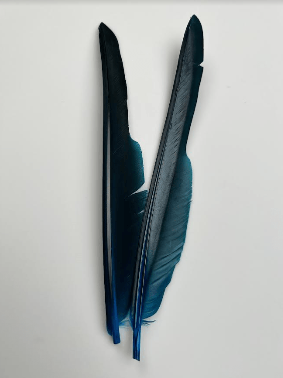 Canada Goose Biot Quills - Feathers &amp; Marabou - Fly Fish Food