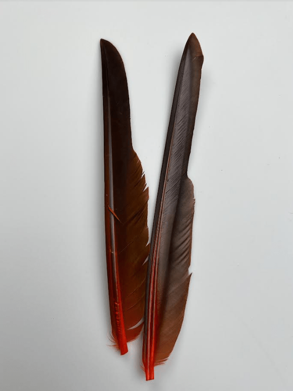 Canada Goose Biot Quills - Feathers &amp; Marabou - Fly Fish Food