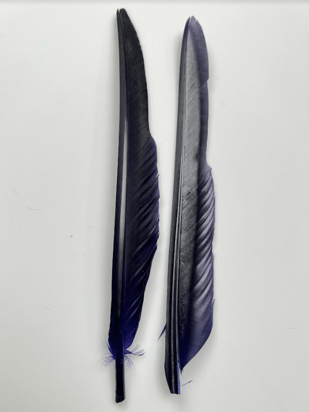 Canada Goose Biot Quills - Feathers &amp; Marabou - Fly Fish Food