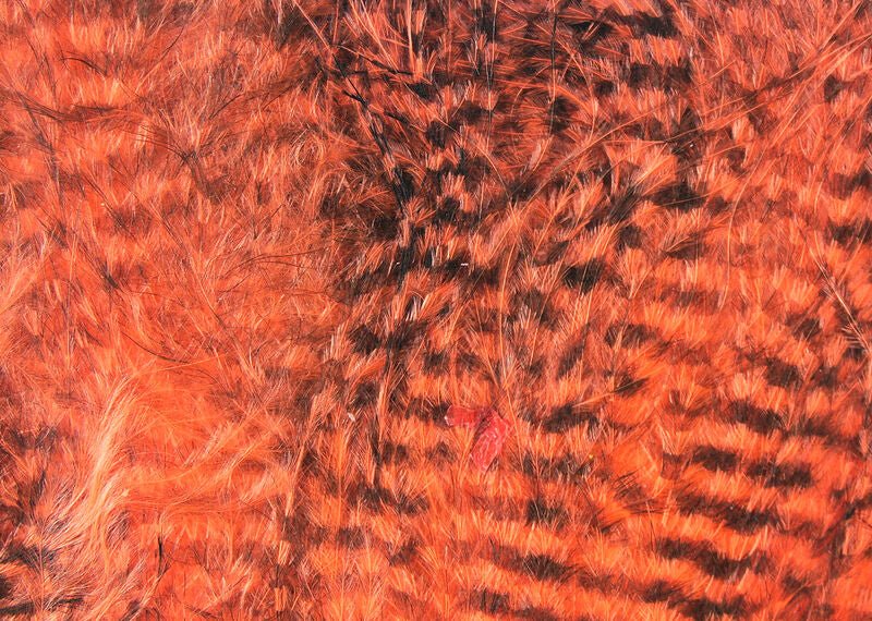 Fine Black Barred Marabou - Feathers & Marabou - Fly Fish Food