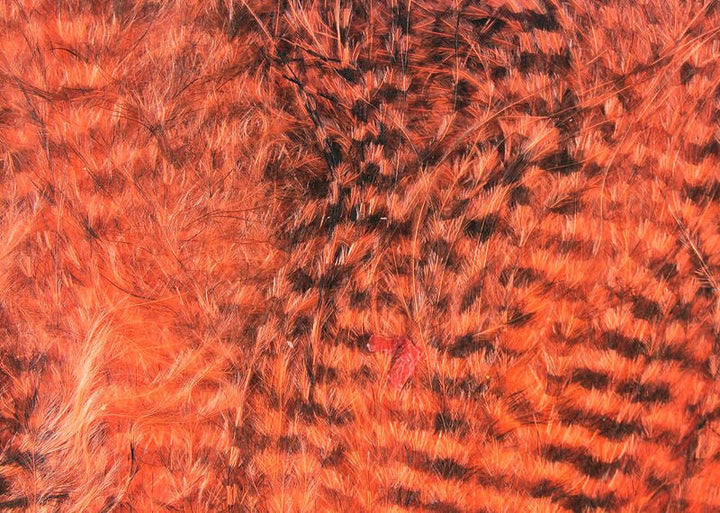 Fine Black Barred Marabou - Feathers &amp; Marabou - Fly Fish Food