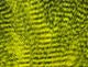 Fine Black Barred Marabou - Feathers &amp; Marabou - Fly Fish Food