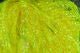 Flat Diamond Braid - Synthetic Fibers &amp; Flash - Fly Fish Food