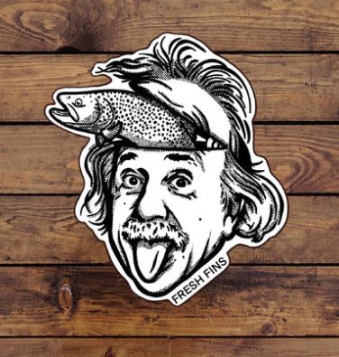 Fish For Brains Sticker - Stickers - Fly Fish Food