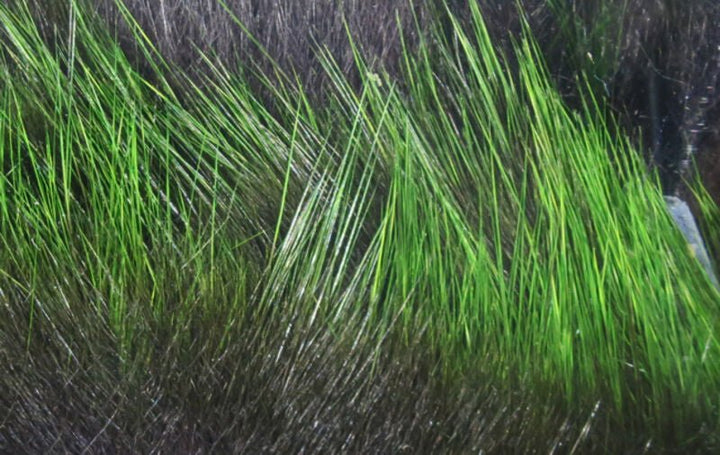 Frostip Rabbit Strips - Hair &amp; Fur - Fly Fish Food