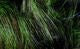Frostip Rabbit Strips - Hair &amp; Fur - Fly Fish Food