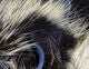 Frostip Rabbit Strips - Hair &amp; Fur - Fly Fish Food